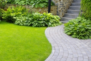Garden Garden